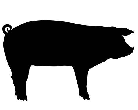 White Show Pig Silhouette - Download the silhouette in eps, jpg, pdf