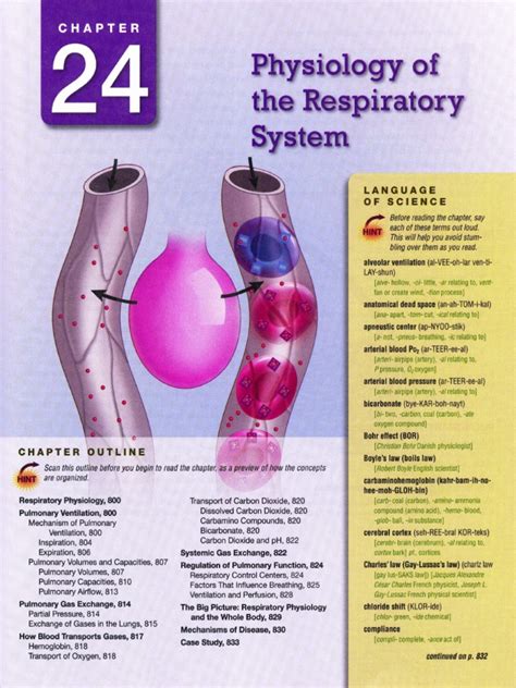 24physiology Of The Respiratory Systempdf Respiratory System Lung
