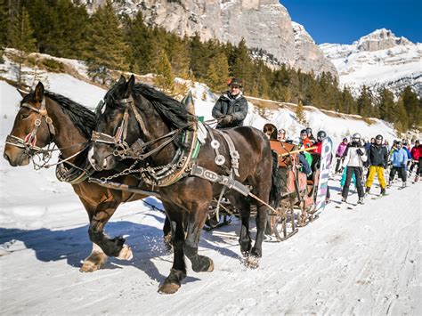 Ski Tour Grande Guerra Nel Comprensorio Del Dolomiti Superski