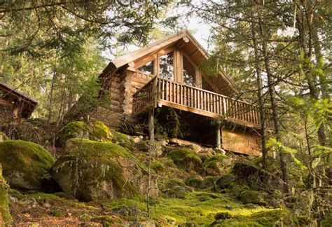 These Rustic Log Cabins In Bc Have Panoramic Forest Views