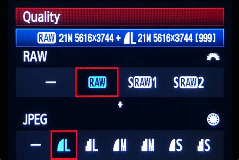 Raw Vs Jpeg Which Should You Be Using To Get The Best Results
