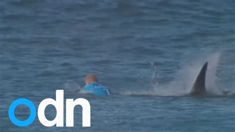 Surfer Fights Off Shark Attack On Live Tv Youtube