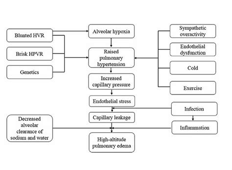 Cureus Patchy Vasoconstriction Versus Inflammation A Debate In The