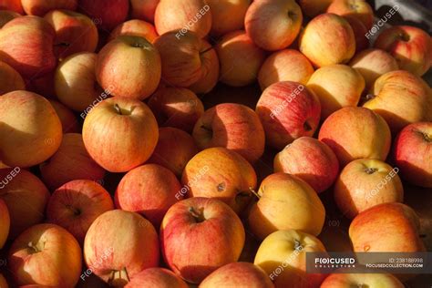Close Up Of Stack Of Gala Apples At A Market — Vegan Healthy Eating