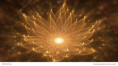 Radiant Orange Lotus Water Lily Enlightenment Or Meditation And