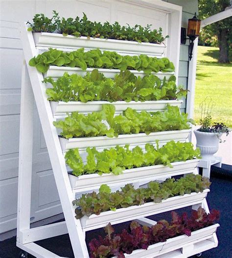 Vertical Vegetable Garden Ideas 22 Best Diys For Small Spaces