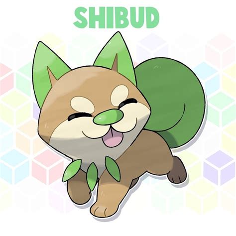 Explore The Adorable Shibud The Grass Type Bush Dog Pokemon