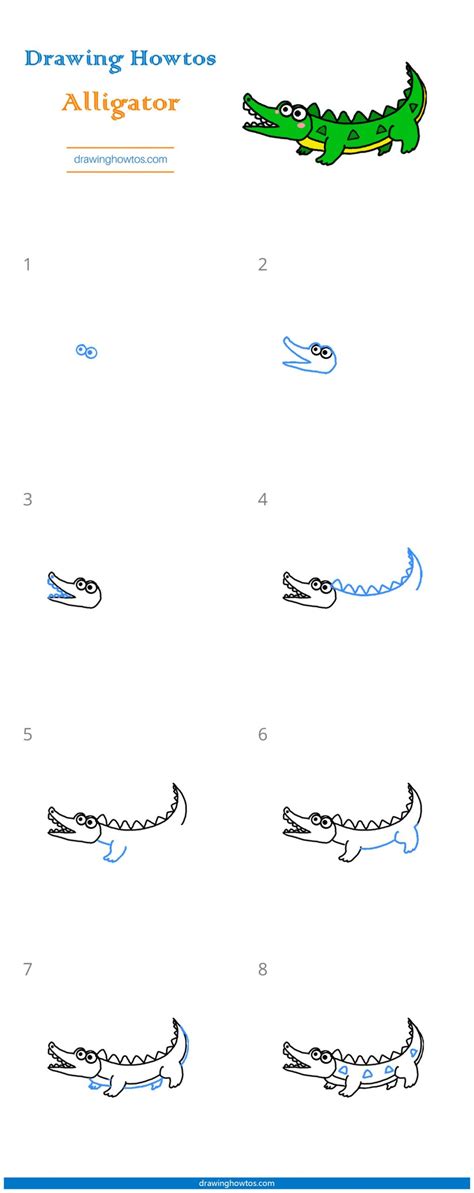 How To Draw An Alligator Step By Step Easy Drawing Guides Drawing