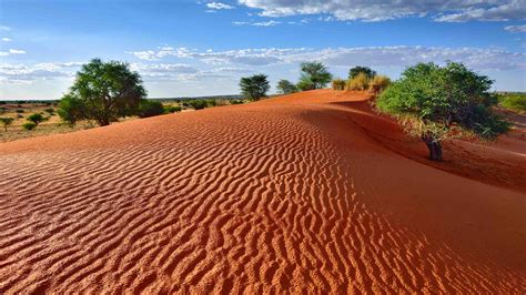 Kalahari Desert Tailor Made Tours And Holidays 2024 2025 Cox And Kings