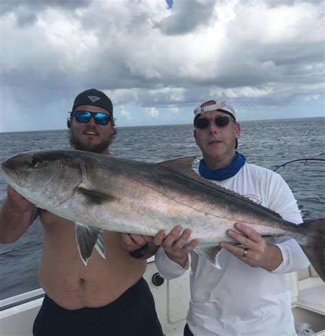 The Florida Amberjack Fishing Guide Salty Knots Fishing