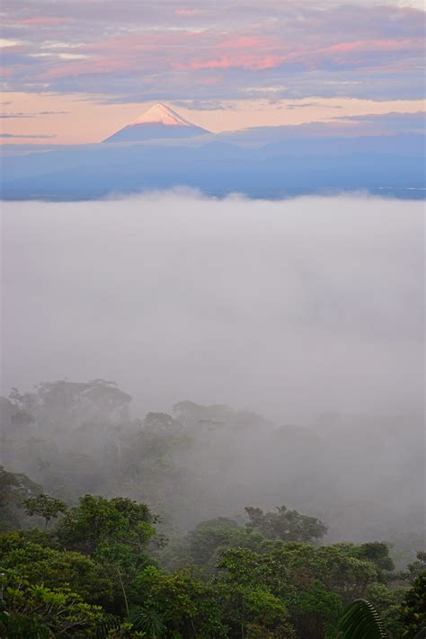 Free Images Landscape Sea Nature Forest Horizon Wilderness