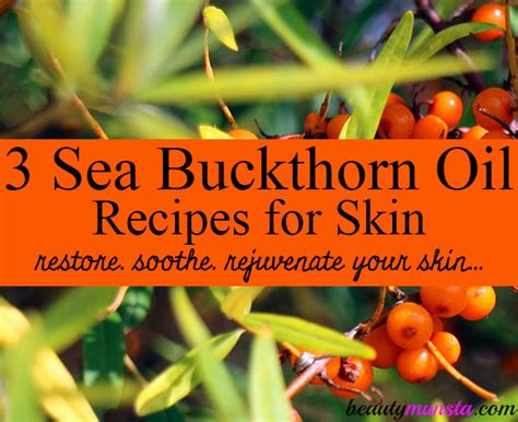 3 Spectacular Sea Buckthorn Oil Recipes For Skin Beautymunsta Free