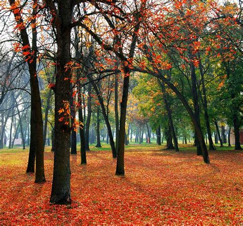 Autumn Equinox: 5 Odd Facts About Fall | Live Science