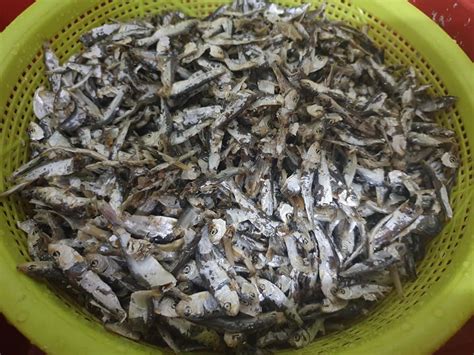 8 resep sambal ikan tamban ala rumahan yang mudah dan enak dari komunitas memasak terbesar dunia! Sedap Resepi Ikan Bilis Tamban Goreng Pedas, Boleh Jadikan ...