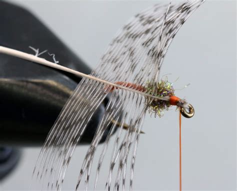 Fly Tying Partridge And Orange Soft Hackle