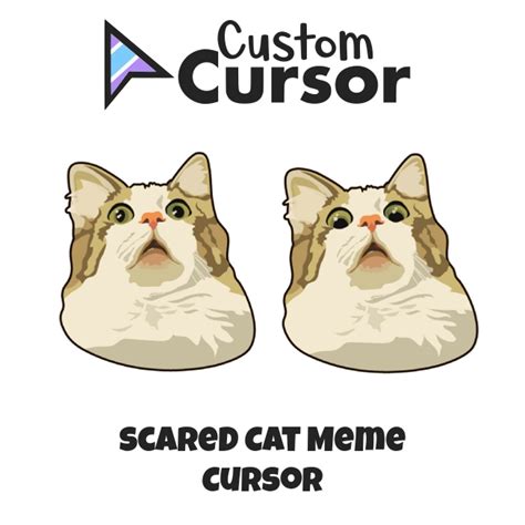 Scared Cat Meme Curseur Custom Cursor