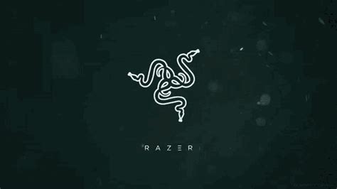 Razercorpo  Razercorpo Discover And Share S
