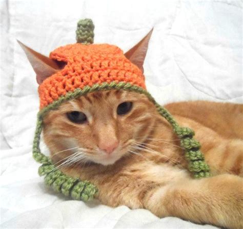 Crochet Cat Hat Halloween Pumpkin Hat For Cats By