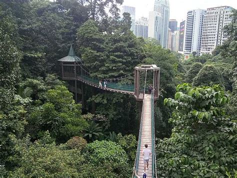 Kl Forest Eco Park Bukit Nanas Forest Reserve