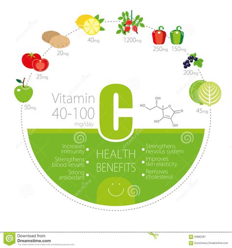 Healthy Lifestyle Infographic Vitamin C In Fruits And Vegetables