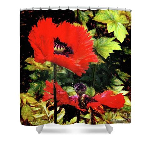 By Mona Stut Summer Flowers Red Flowers Colorful Flowers Papaver