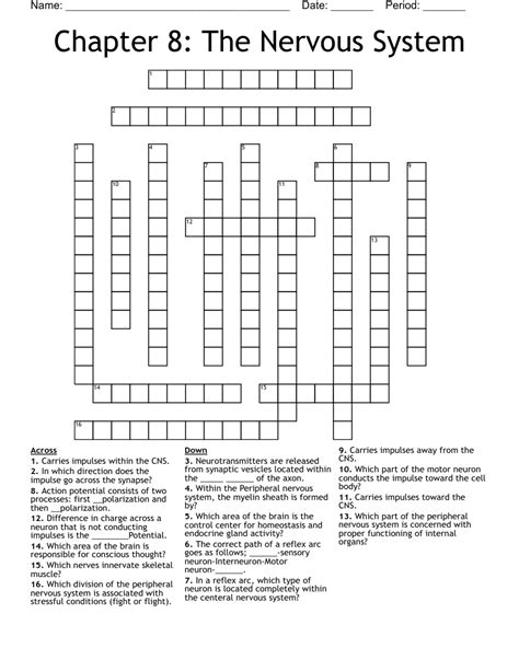 Chapter 8 The Nervous System Crossword Wordmint