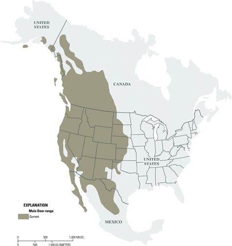 Current Range Of Mule Deer In North America Demarais And Krausman