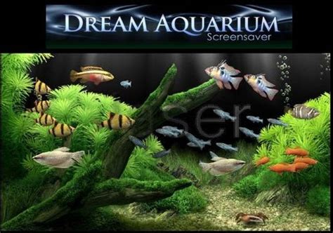 Dream Aquarium Screensaver Full Version Lankabukiya