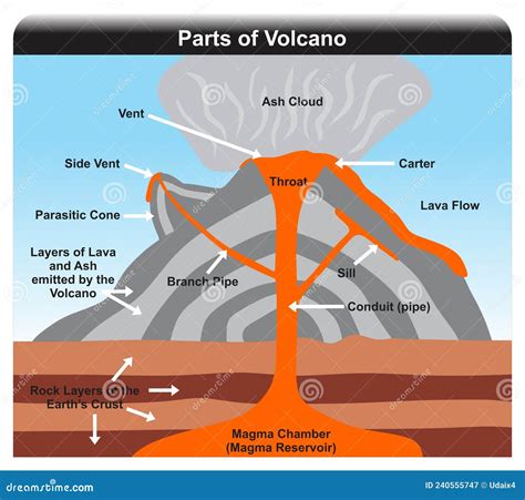 Partes Volcánicas Y Diagrama De Infografía De Estructura Ilustración