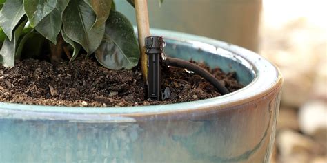 How To Make A Diy Drip Irrigation System For Your Container Garden