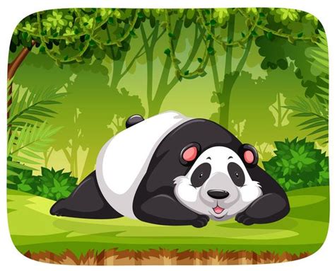 A Panda In Jungle Scene 528016 Vector Art At Vecteezy