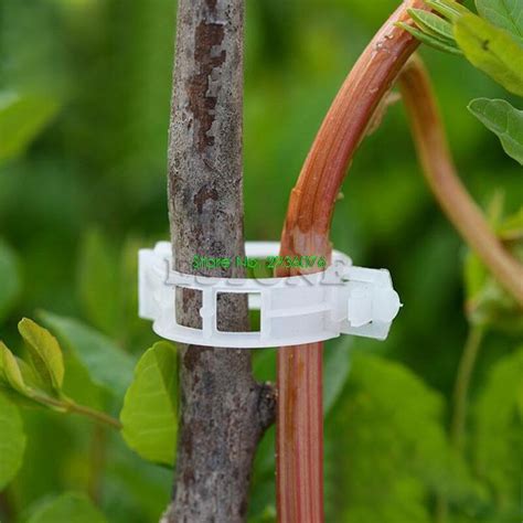 100pcs Plant Vine Tomato Stem Clips Supports Connect To Trellis Twine