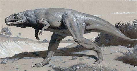 Although Evocative These Popular 1960s Dinosaur Reconstructions By