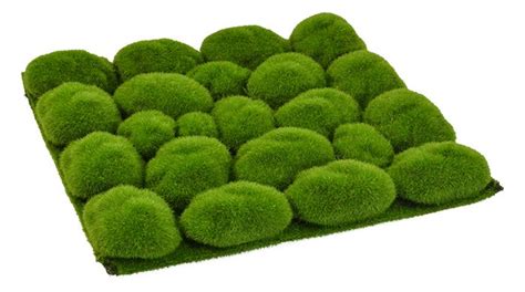 Textured Moss Square 30 X 30cm Grass And Moss Moss Texture Grass