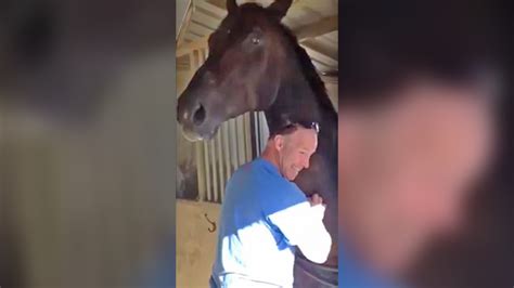 Horse Refuses To Let Man Stop Giving Neck Rub On The Feed Cbs News