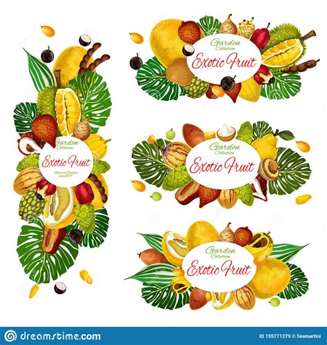 Exotic Fruits Tropical Berries With Palm Leaves Stock Vector