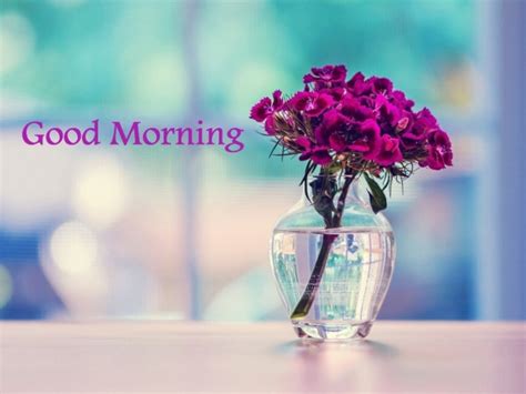 Good Morning With Lovely Flower Vase Good Morning Wishes And Images