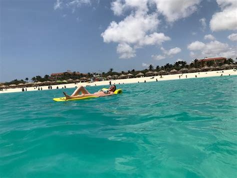 Eagle Beach Palm Eagle Beach Aruba Top Tips Before You Go