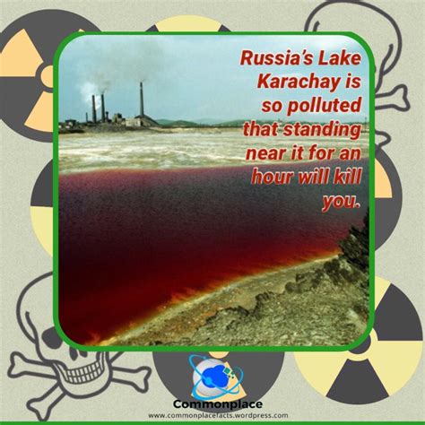 An Hour At The Worlds Most Polluted Lake Will Kill You Commonplace Fun Facts