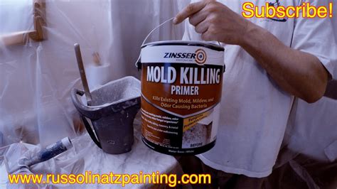 I removed the ceiling paint and cleaned it with a commercial mould remover. How to kill Mold and Mildew Stains on a Shower Ceiling ...