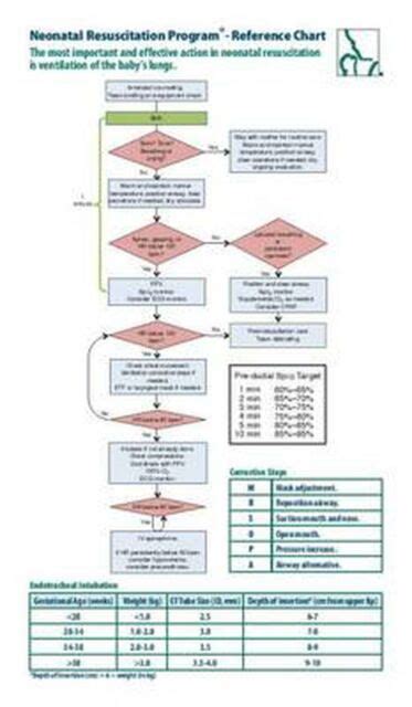 Nrp Ser Neonatal Resuscitation Program Reference Chart By American