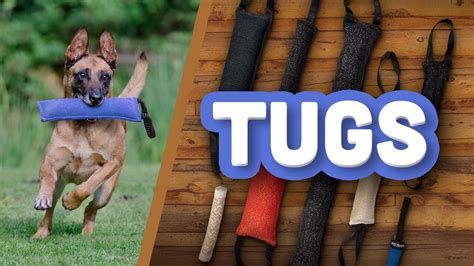 Tug Toys K9 Training And Puppy Development Youtube