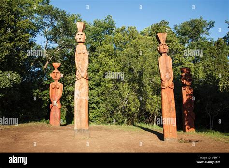 Chile Araucania Temuco Mapuche Prayer Field Nguillatan Ritual