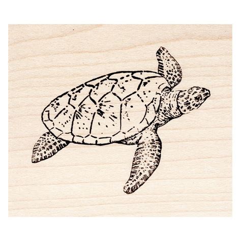 Sea Turtle 1626f Beeswax Rubber Stamps Unmounted Cling Mounted Stamp