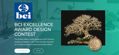 Bci Excellence Award Redesign Contest Design Design Design Awards