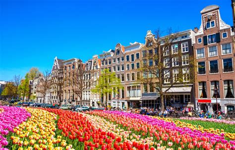 Tin Tức Cập Nhật Choáng Ngợp Với Lễ Hội Hoa Tulip Hà Lan