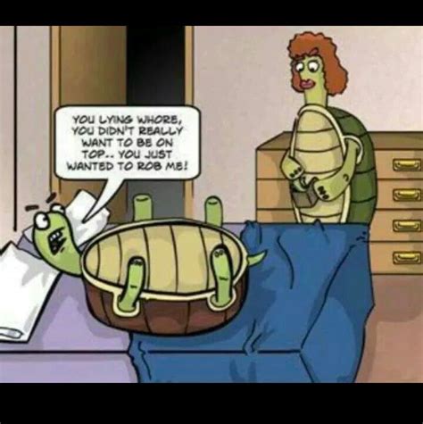 Tortoise Humor Comics Jokes Quotes Funny