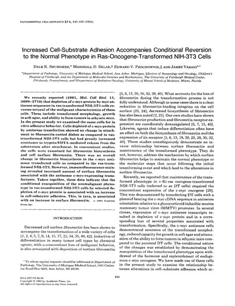 PDF Increased Cell Substrate Adhesion Accompanies Conditional Reversion To The Normal