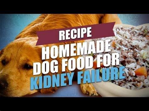 Water intake is important to. Homemade Dog Food for Kidney Failure Recipe | Kidney ...