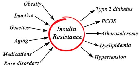 Insulin Resistance And Pcos What You Need To Know Martha Mckittrick Nutrition